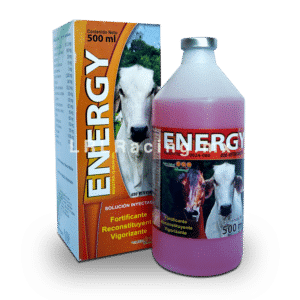 Energy 500ml