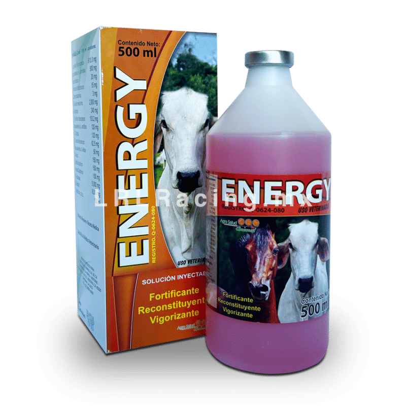 Energy 500ml