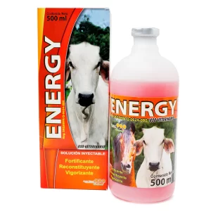 Energy 500ml