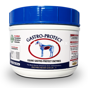 Gastro Protect