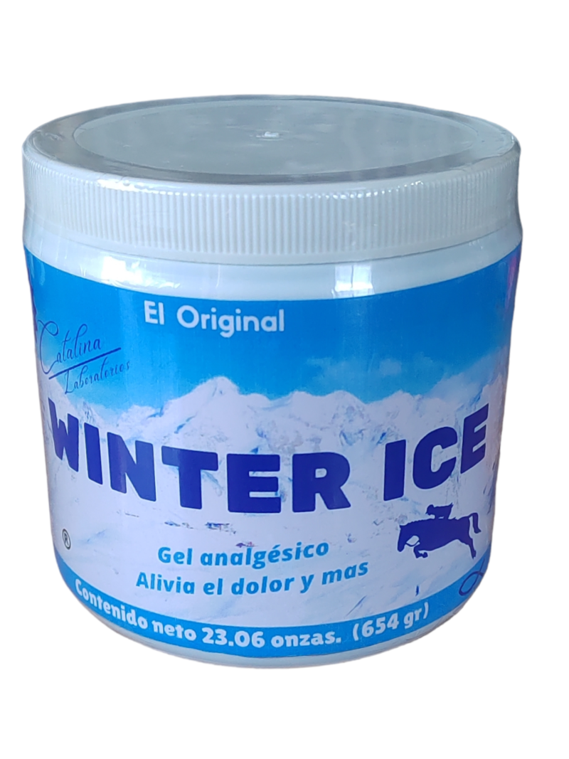 Winter Ice