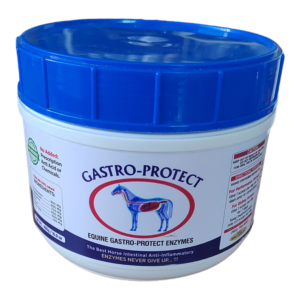 Gastro Protect