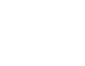 Logo LRL Footer