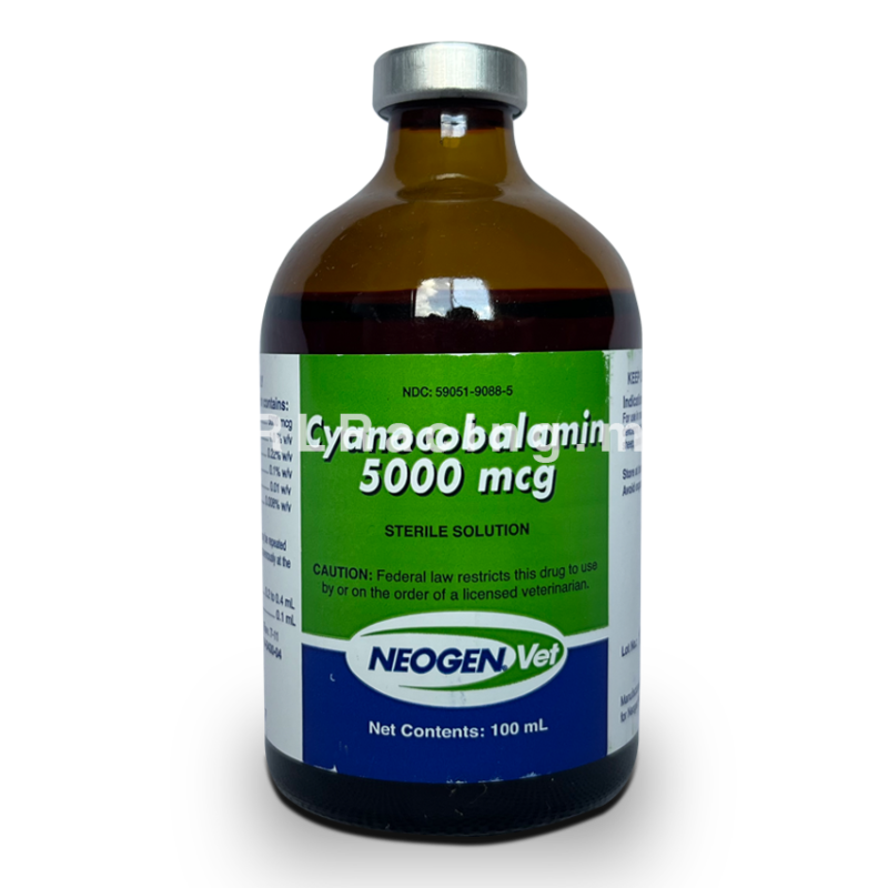 Cyanocobalamin 5000 mcg 100 ml