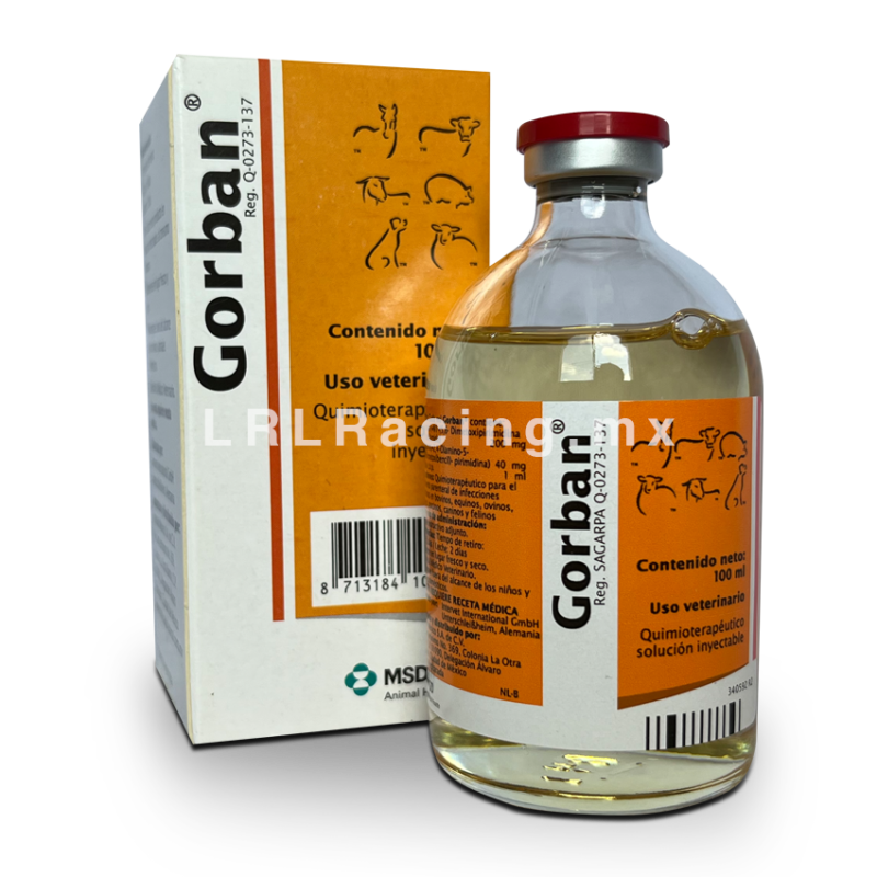 Gorban 100 ml