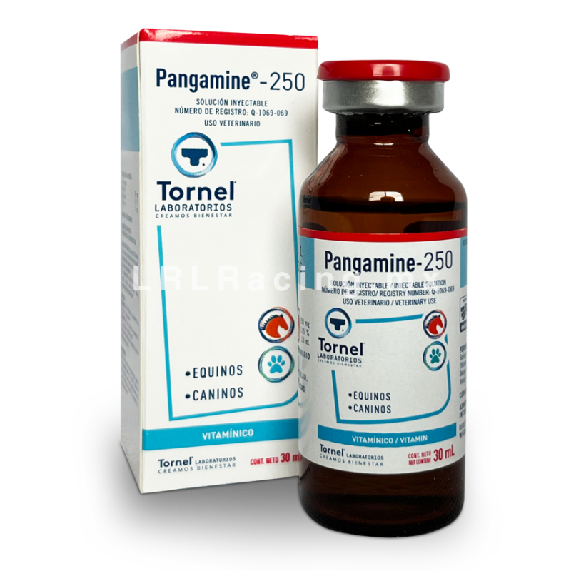 Pangamine-250 30 ml