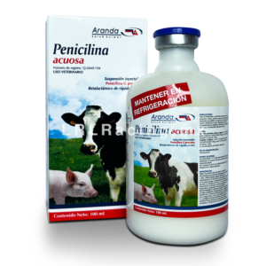 Penicilina Acuosa 100 ml