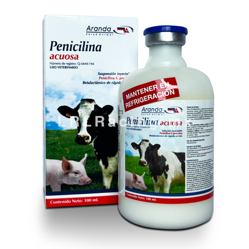 Penicilina Acuosa 100 ml