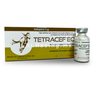 Tetracef eq 2g