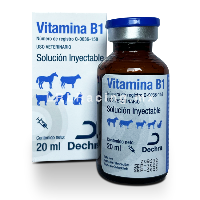 Vitamina B1 20 ml