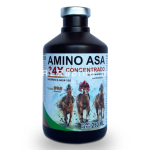 Amino ASA