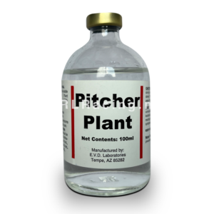 Pitcher Plant 100ml