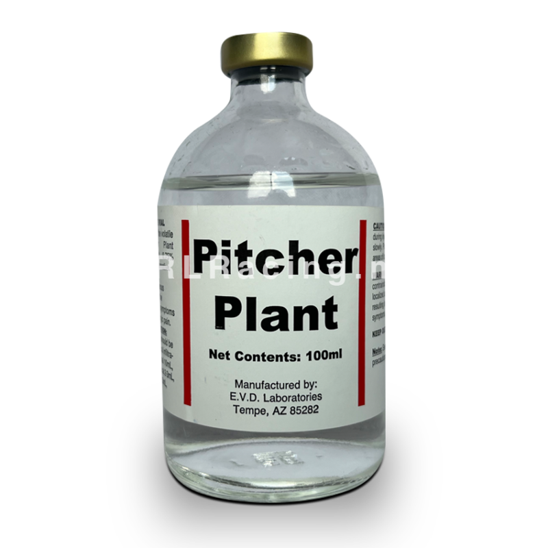 Pitcher Plant 100ml