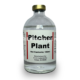 Pitcher Plant 100ml